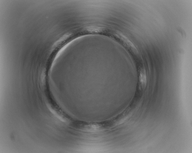 X0000115410492200911241331