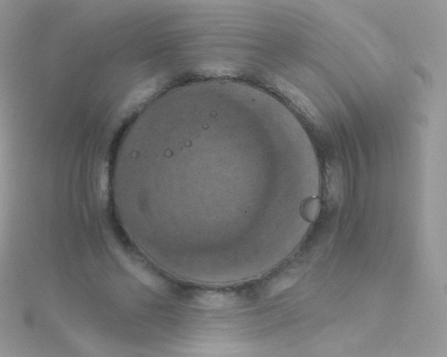 X0000115410494200911241331