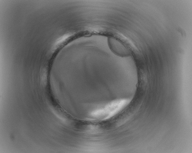 X0000115410496200911241331