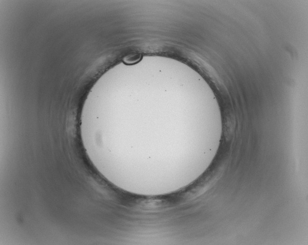 X0000115410497200911241331