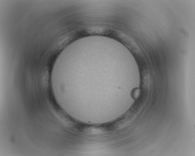 X0000115410498200911241331