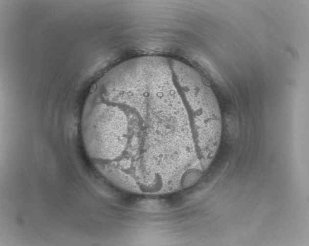 X0000115410499200911241331