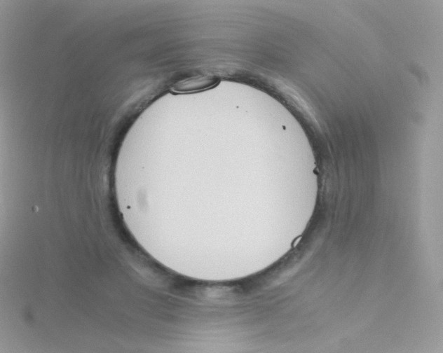 X0000115410501200911241331