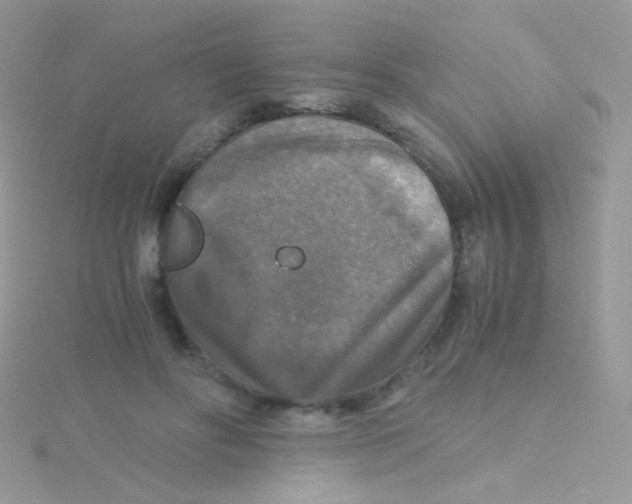 X0000115410502200911241331