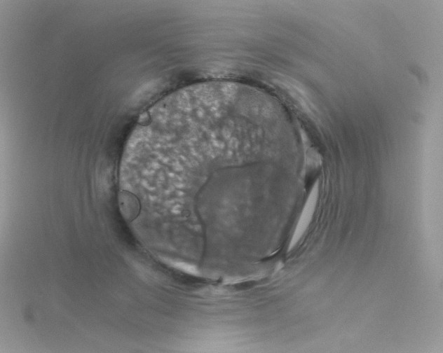 X0000115410503200911241331