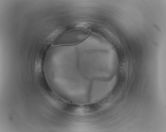 X0000115410504200911241330