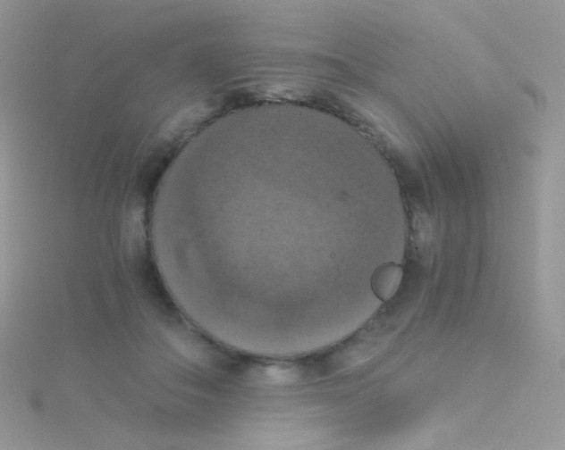 X0000115410506200911241330