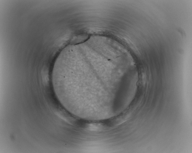 X0000115410508200911241330