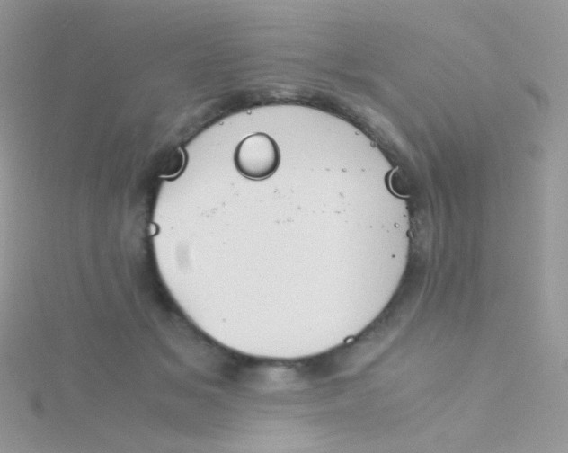 X0000115410509200911241330