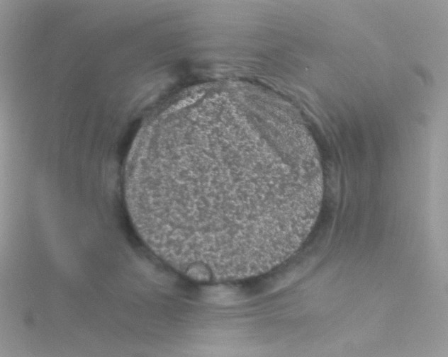 X0000115410511200911241330