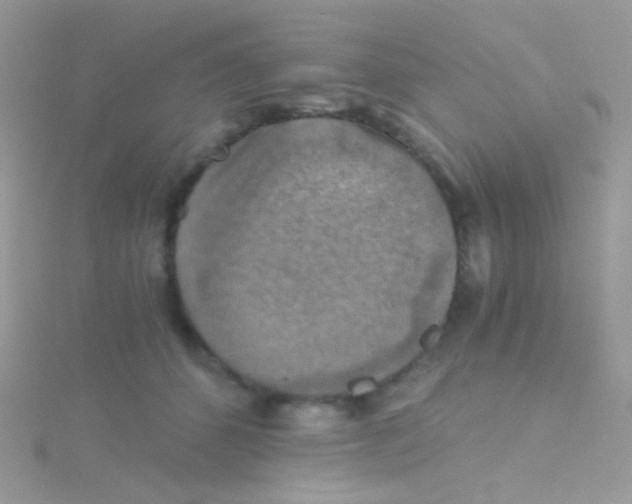 X0000115410512200911241330