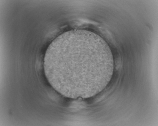 X0000115410515200911241330