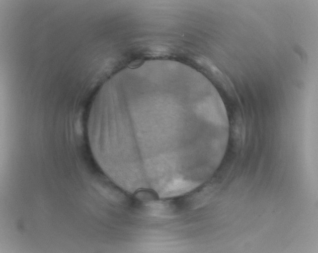 X0000115410516200911241330