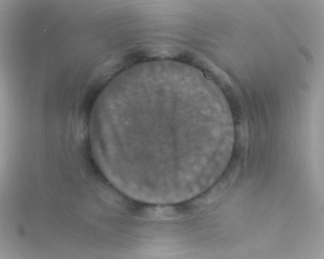 X0000115410517200911241330