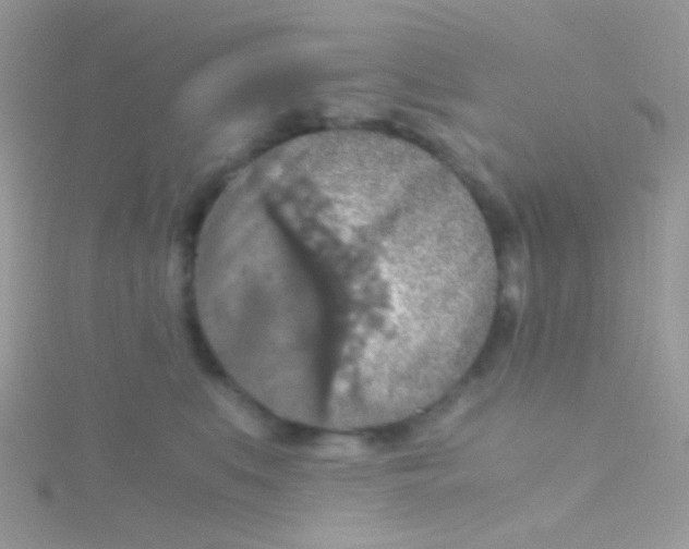 X0000115410519200911241330