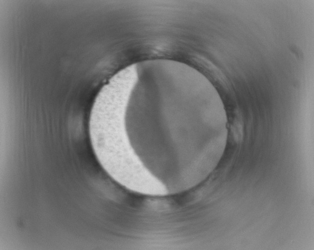 X0000115410520200911241330