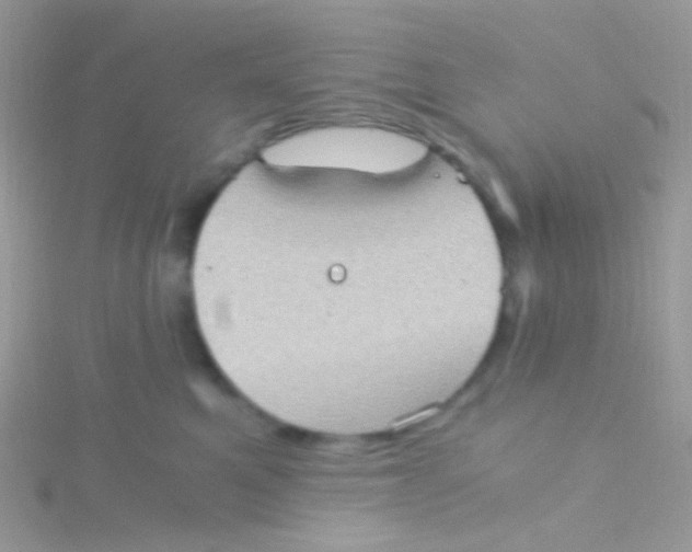 X0000115410521200911241330