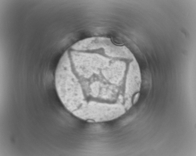 X0000115410523200911241330