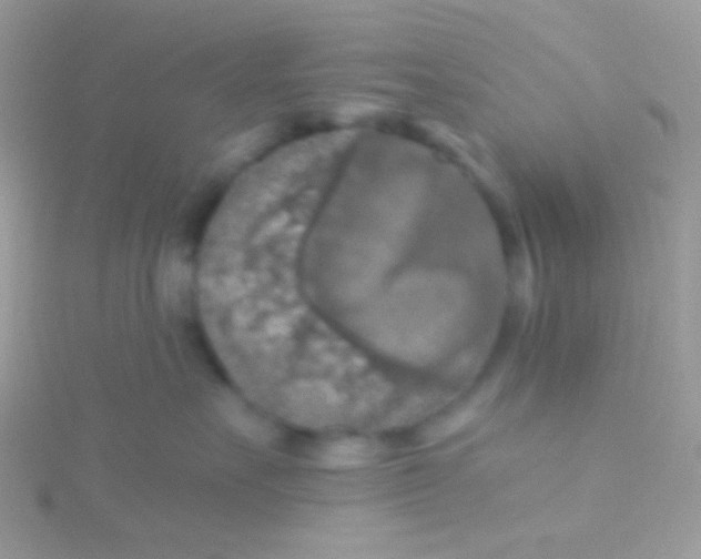 X0000115410527200911241330