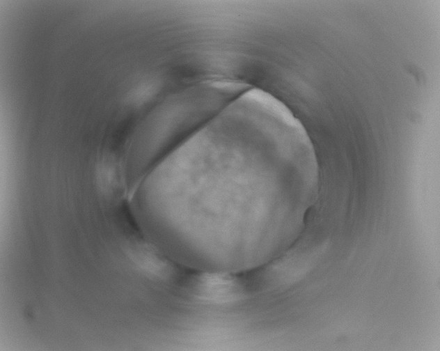 X0000115410528200911241330