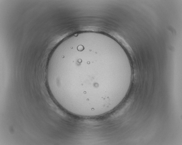 X0000115410529200911241330