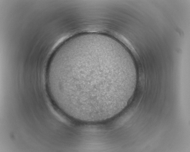 X0000115410530200911241330