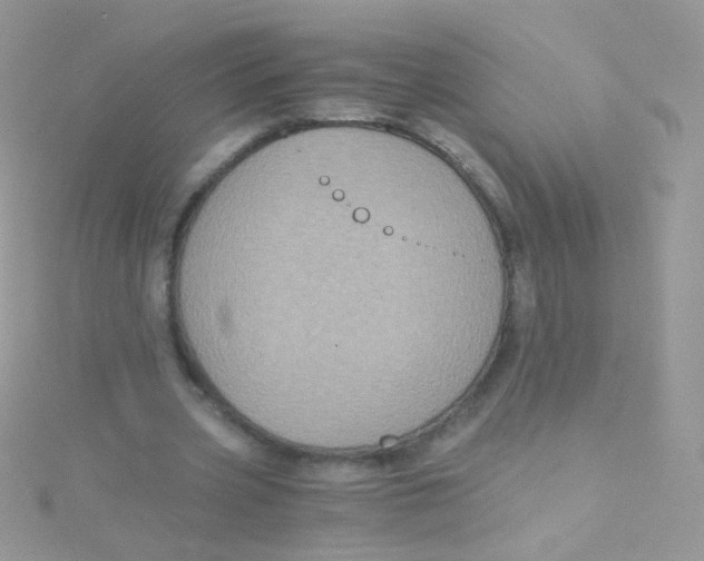 X0000115410533200911241330