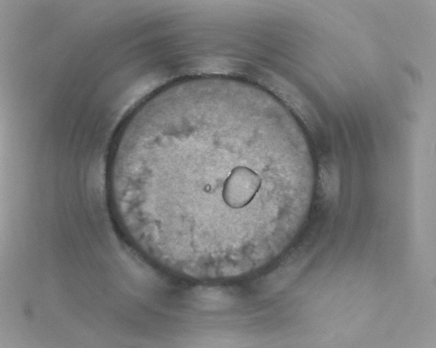 X0000115410534200911241330