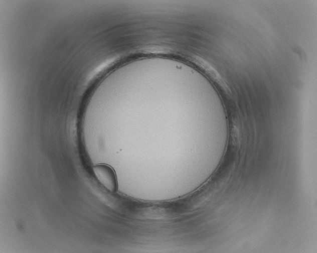 X0000115410535200911241330