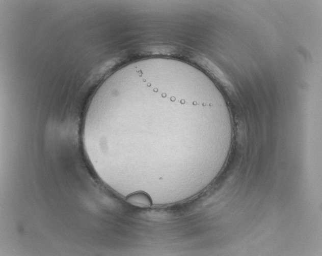 X0000115410537200911241330