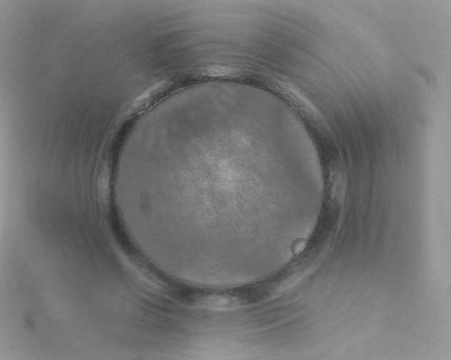 X0000115410542200911241330