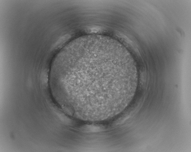 X0000115410545200911241330