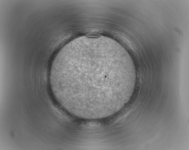 X0000115410546200911241330