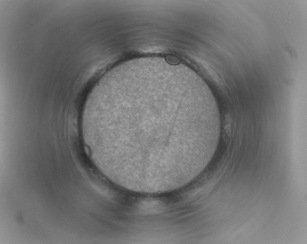 X0000115410547200911241330