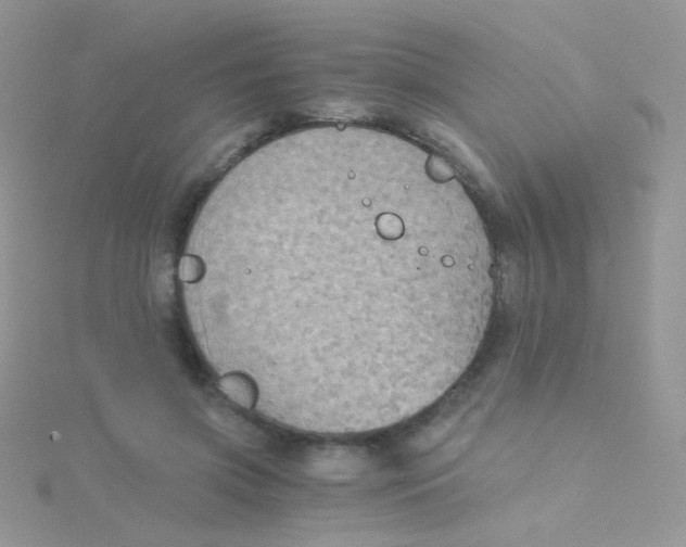 X0000115410549200911241330