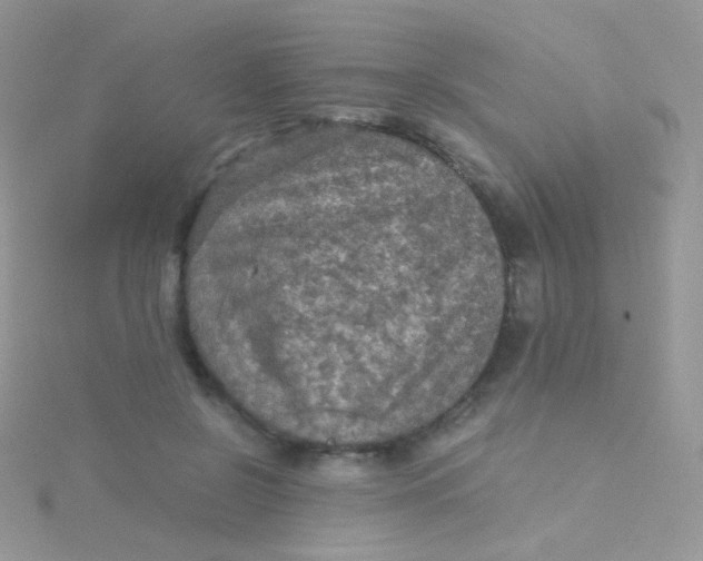 X0000115410550200911241330