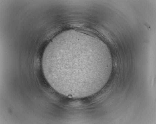 X0000115410551200911241330