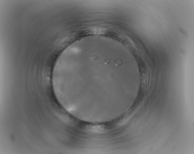 X0000115410553200911241330