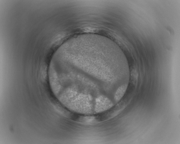 X0000115410554200911241330