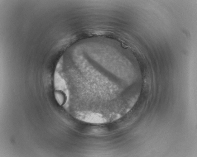 X0000115410555200911241330