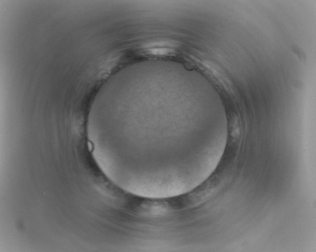 X0000115410559200911241330