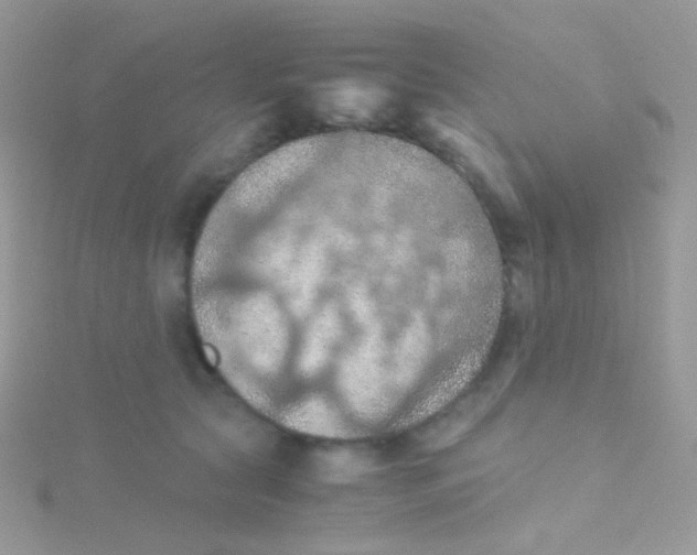 X0000115410561200911241330