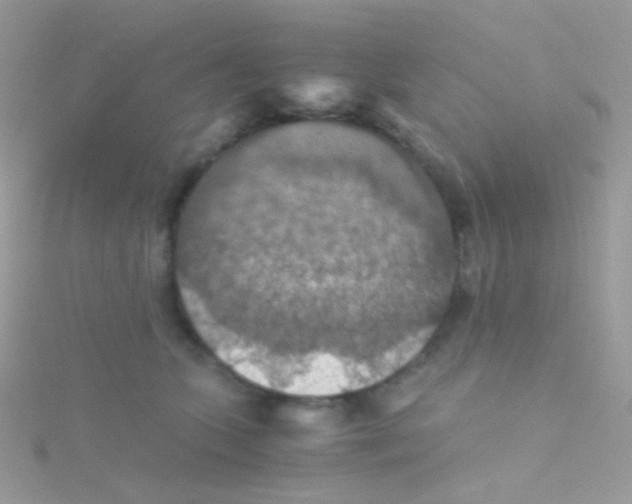 X0000115410563200911241330