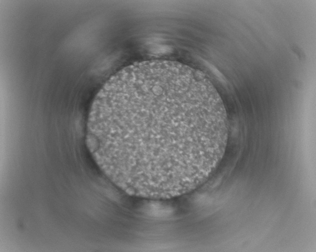 X0000115410565200911241330