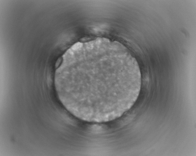 X0000115410566200911241330