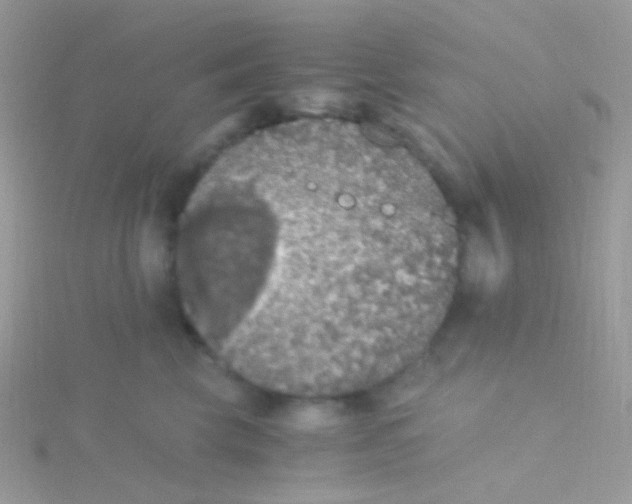 X0000115410569200911241330