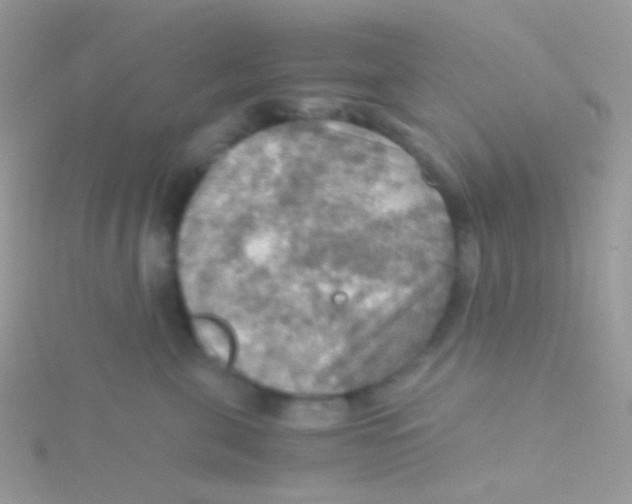 X0000115410571200911241330