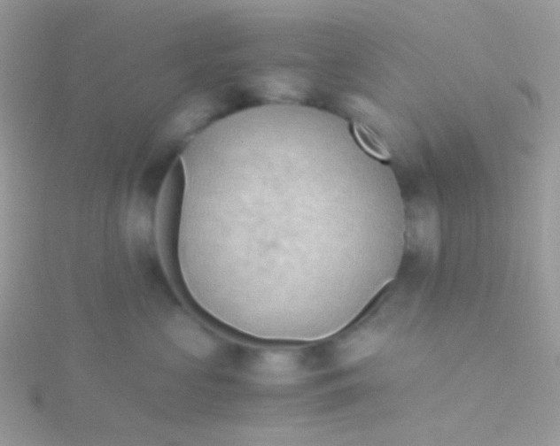 X0000115410573200911241330