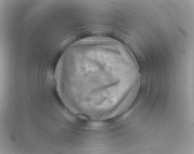 X0000115410575200911241330