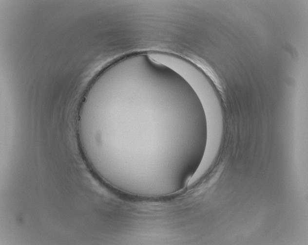 X0000115410577200911241330